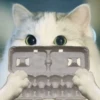 Kittenwaffen 10