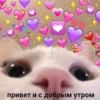 привет и с добрым утром