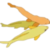 प्रिय मछली! 8