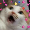 Meow? 11