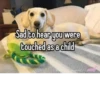 homophobic dog 13