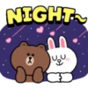 NIGHT