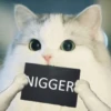 Kittenwaffen 12