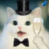 Kittenwaffen 13