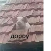 дороу