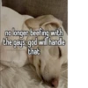 homophobic dog 16