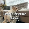 homophobic dog 18