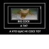 BIG COCK А ТИ? А ХТО ЩАС НЕ СОСЕ ТО?