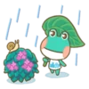 C