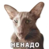 Favorite Sticker by 12