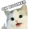 Kittenwaffen 14
