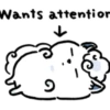 Wants attention ១