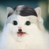 Kittenwaffen 18