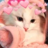 Meow? 15