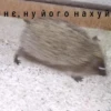 нє, ну його нахуй