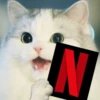 Kittenwaffen 19