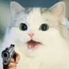 Kittenwaffen 20