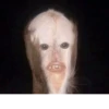 ыыы 20