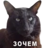 Favorite Sticker by 16