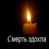 Смерть здохла