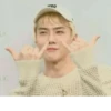 ✨K-POP memes by 17