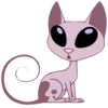 Kat 11
