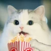 Kittenwaffen 22