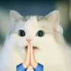 Kittenwaffen 23