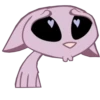 Kat 13