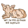 Kitty Litter 9
