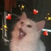 a.