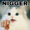 Kittenwaffen 25