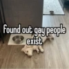 homophobic dog 29