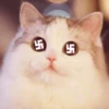 Kittenwaffen 27