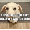 homophobic dog 30