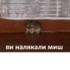 Ви налякали миш
