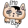 Kitty Litter 13