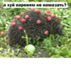 а хуй вареням не намазать?