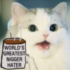 Kittenwaffen 28