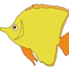 प्रिय मछली! 24