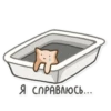 Kitty Litter 15