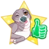 Kermit The Dog 5