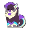 Kizma Husky! 8