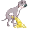 Kermit The Dog 6