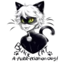 🐞°•°{ Miraculous }°•°🐱 9