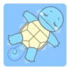 Pokémon: Squirtle 8