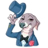Kermit The Dog 8