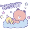 NIGHT