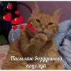Horny and be in love by 10