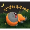 안녕히주무세요